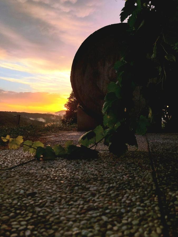 Zerko Holiday Home - Vineyard Chalet With Sauna And Jacuzzi Free Mirna Dış mekan fotoğraf