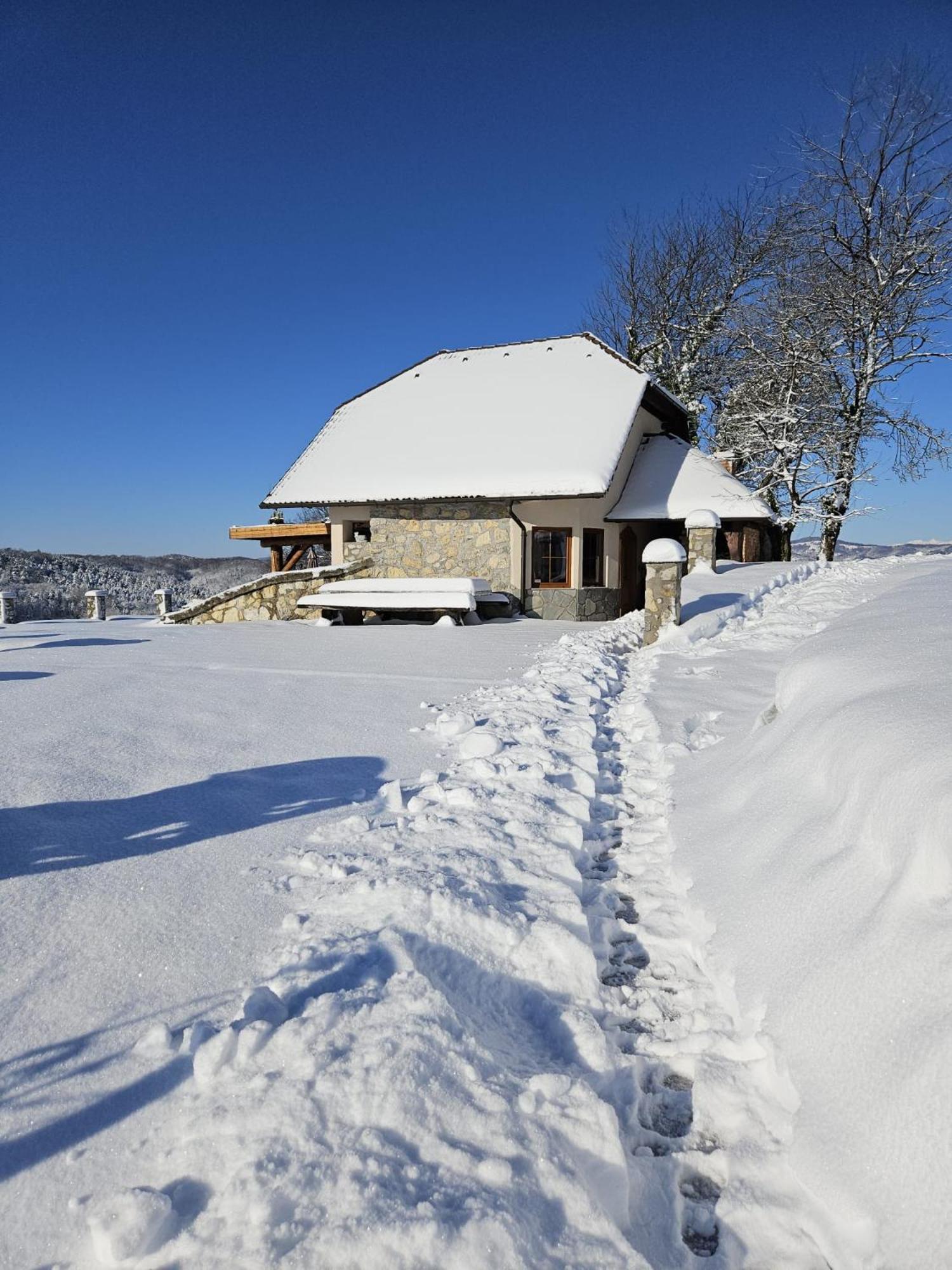Zerko Holiday Home - Vineyard Chalet With Sauna And Jacuzzi Free Mirna Dış mekan fotoğraf