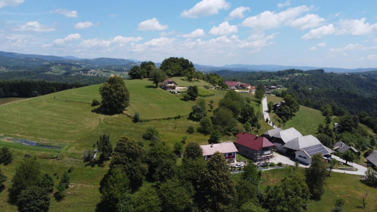 Zerko Holiday Home - Vineyard Chalet With Sauna And Jacuzzi Free Mirna Dış mekan fotoğraf