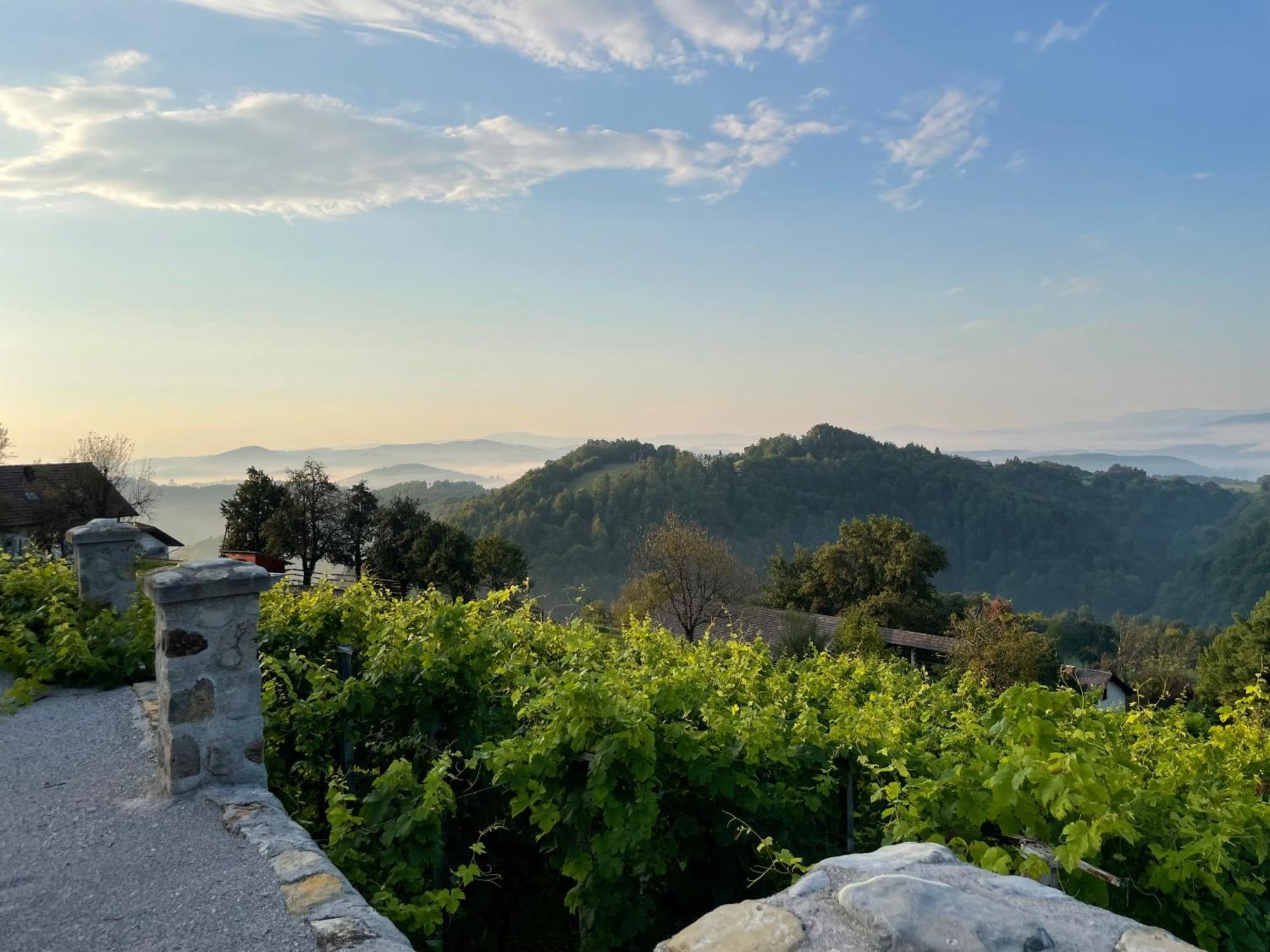 Zerko Holiday Home - Vineyard Chalet With Sauna And Jacuzzi Free Mirna Dış mekan fotoğraf