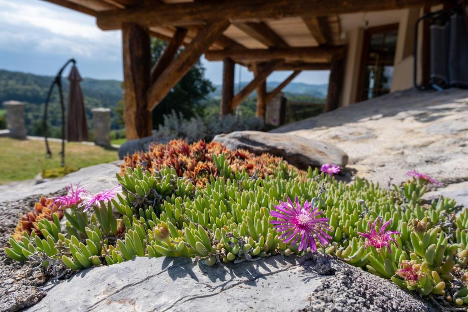 Zerko Holiday Home - Vineyard Chalet With Sauna And Jacuzzi Free Mirna Dış mekan fotoğraf