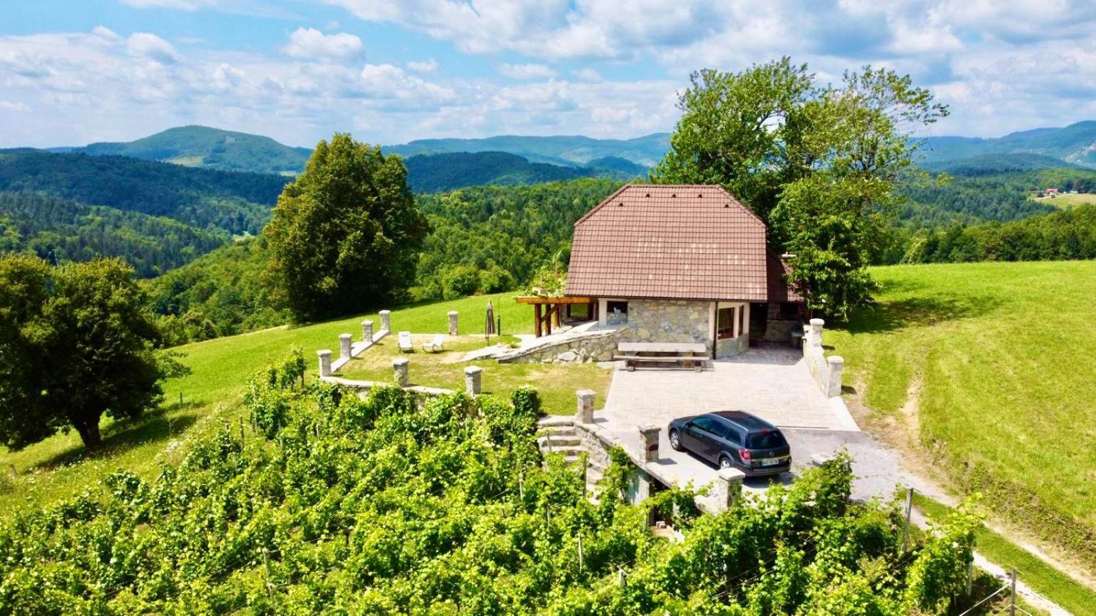Zerko Holiday Home - Vineyard Chalet With Sauna And Jacuzzi Free Mirna Dış mekan fotoğraf