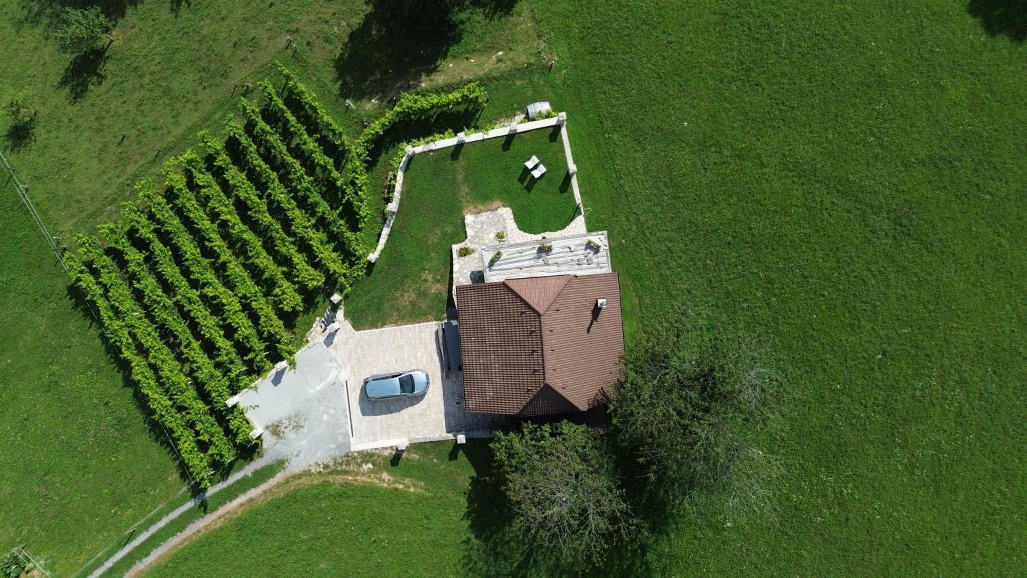 Zerko Holiday Home - Vineyard Chalet With Sauna And Jacuzzi Free Mirna Dış mekan fotoğraf