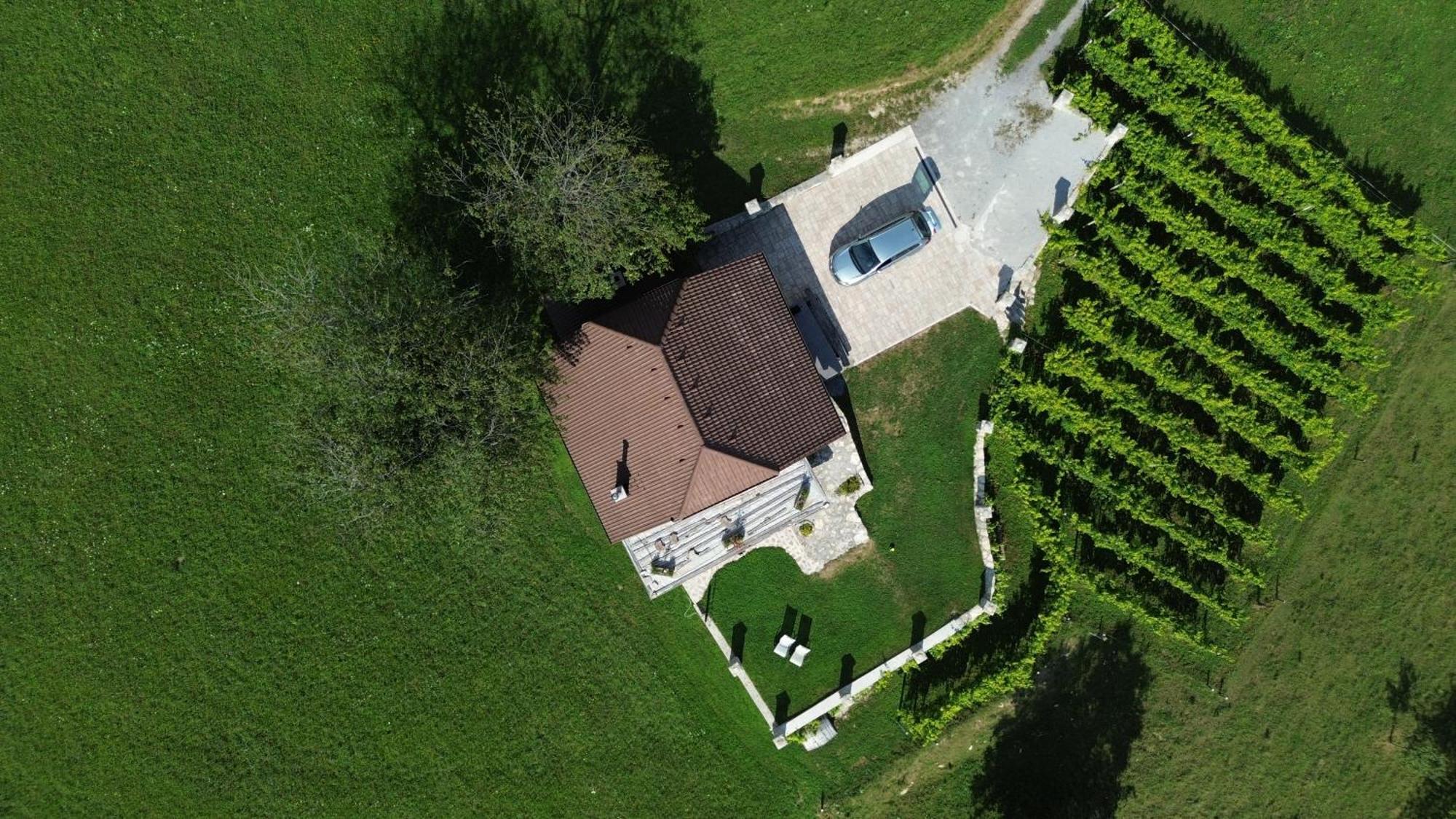 Zerko Holiday Home - Vineyard Chalet With Sauna And Jacuzzi Free Mirna Dış mekan fotoğraf